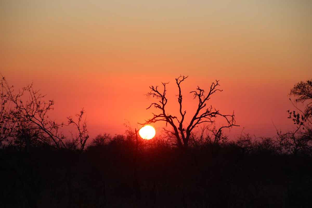 Sunset at nThambo Tree Camp