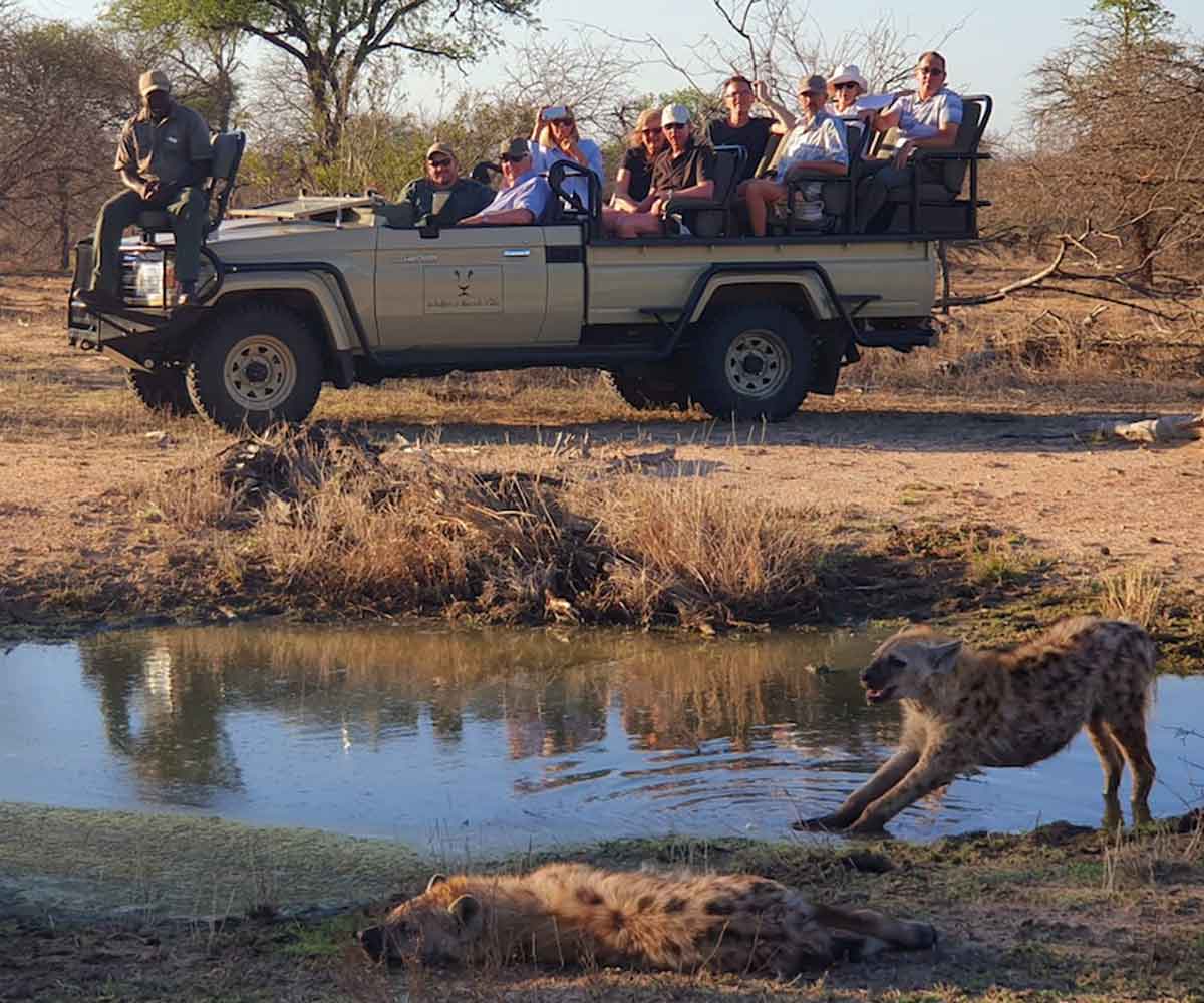 Walkers Hyena Game Drives