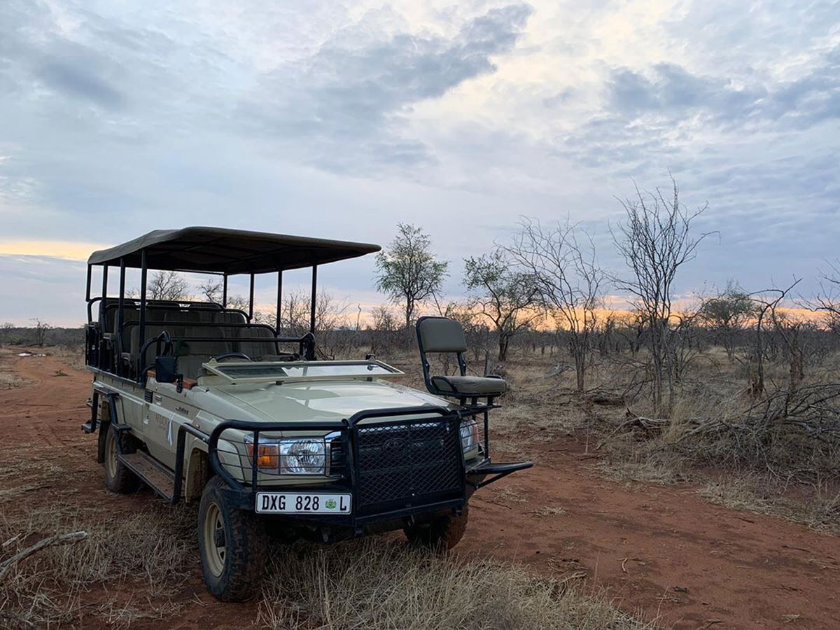 Wilderness Trails Game Drives