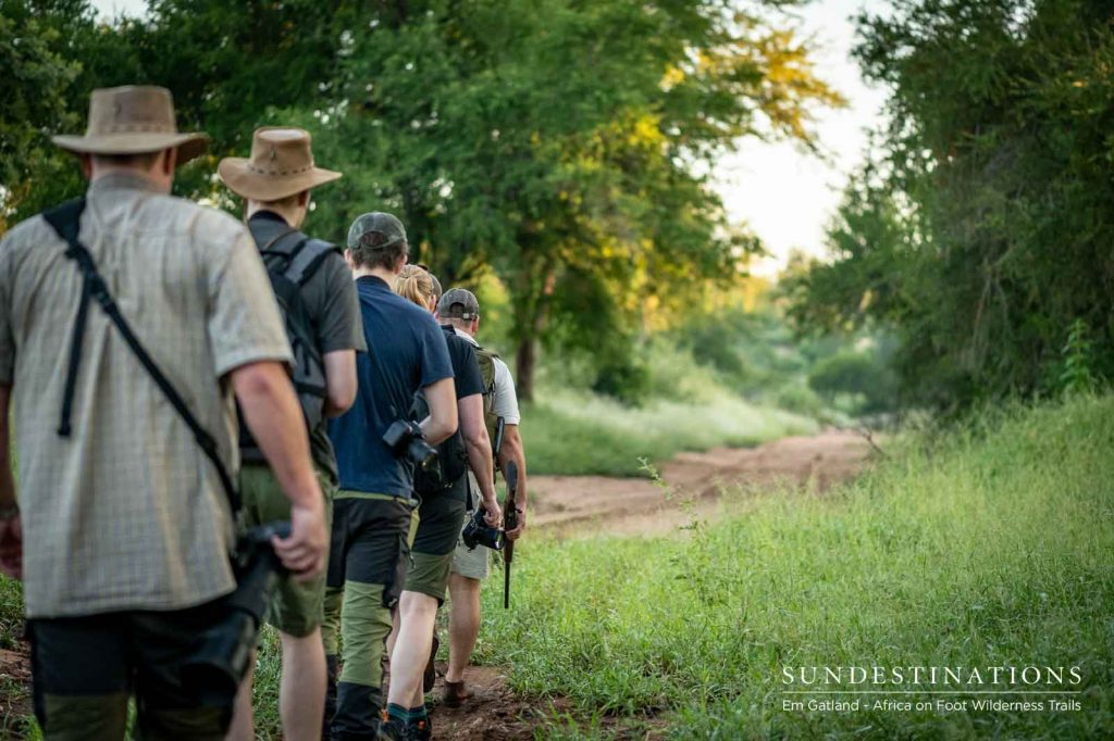 The Danish Crowd Walking Through the Grass