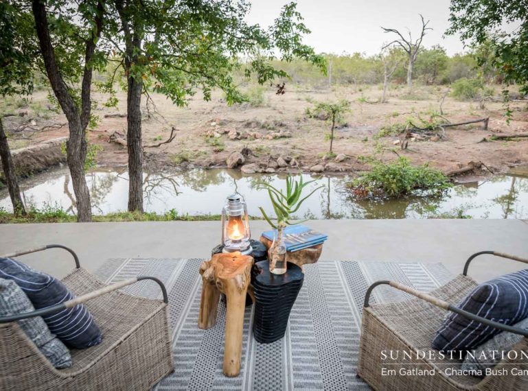 Combine a Kruger Walking Safari with a Lodge Stay