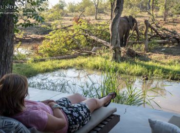 For travellers looking to induce some travel envy on their Instagram timelines, nothing beats the African bush. At Chacma Bush Camp in the Greater Kruger there are five particularly Insta-worthy locations that will have your followers swooning. The private and secluded Maseke Balule Game Reserve boasts some of the most staggering views in the whole […]