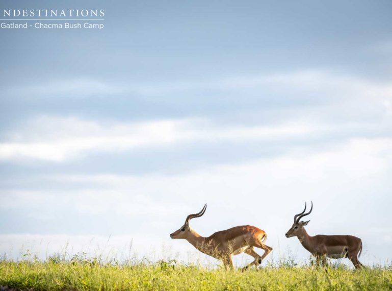 The Week in Pictures : Wide Open Spaces