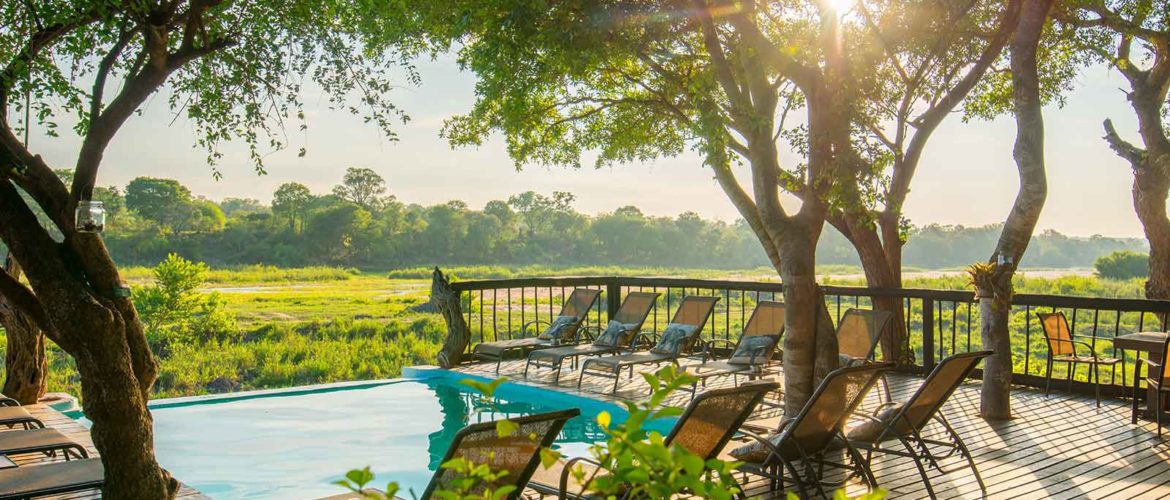 Southern Africa & Kruger Safari Specials for Locals from R2500