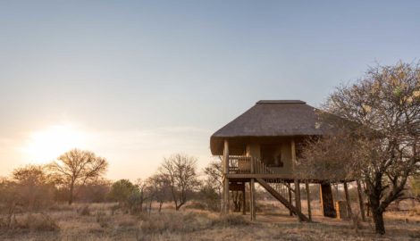 nThambo Tree Camp Chalets