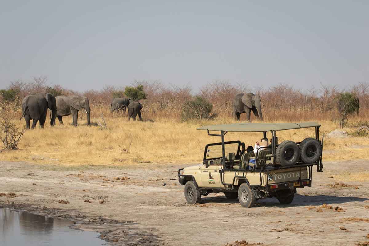 Elephants at Waterhole in Mankwe Tented Retreat