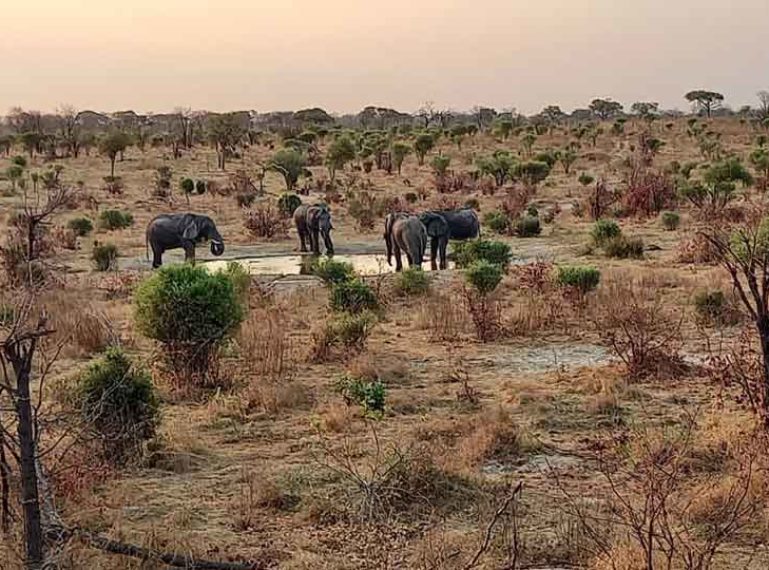 #MonthlyMankwe: Mankwe is Elephant City