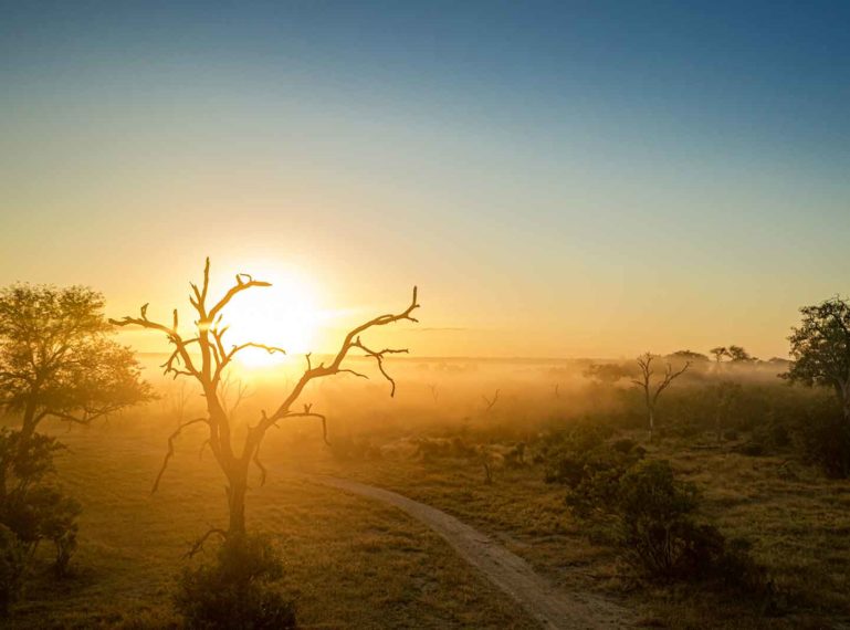 Bushveld Quietude at Umkumbe Bush Lodge