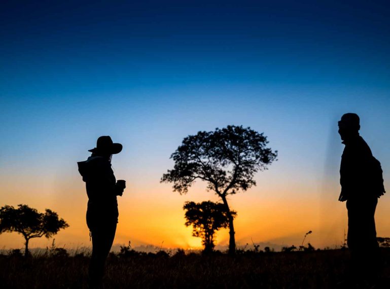 Navigating the Wilderness: Understanding Safari Suppliers and Sun Destinations