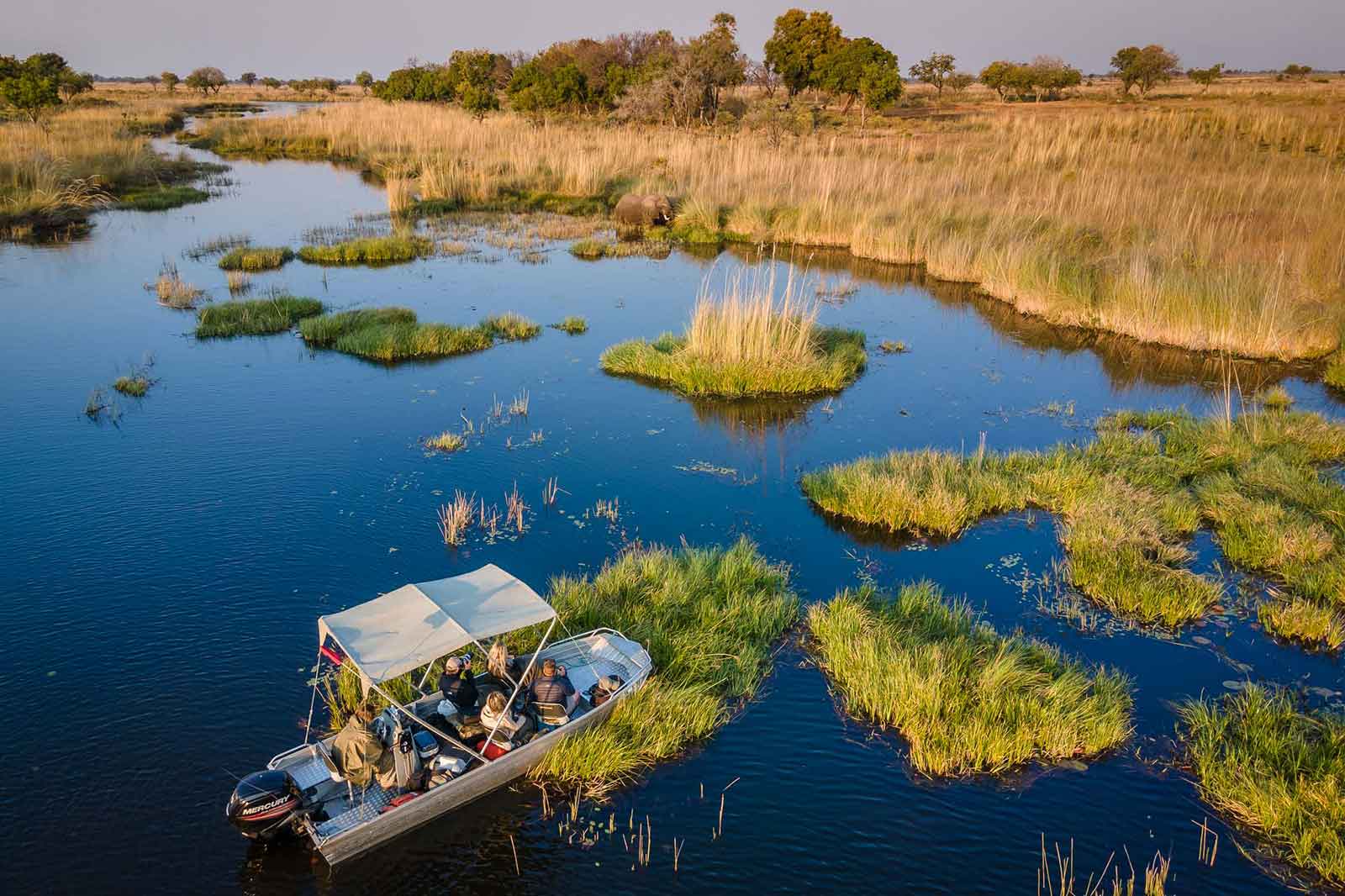 mobile safari botswana