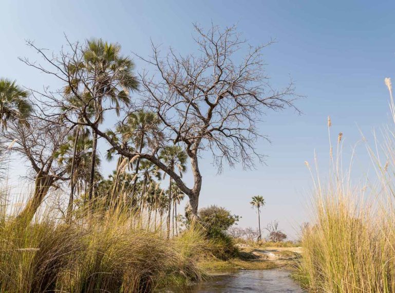 We answer your FAQs about Trails of Botswana