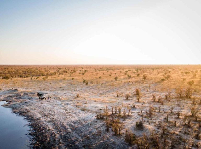 Explore This Affordable Botswana Safari Lodge Close To Moremi