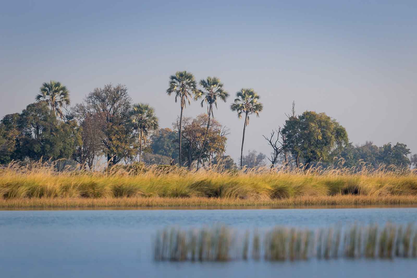 Mboma Island Expeditions Okavango