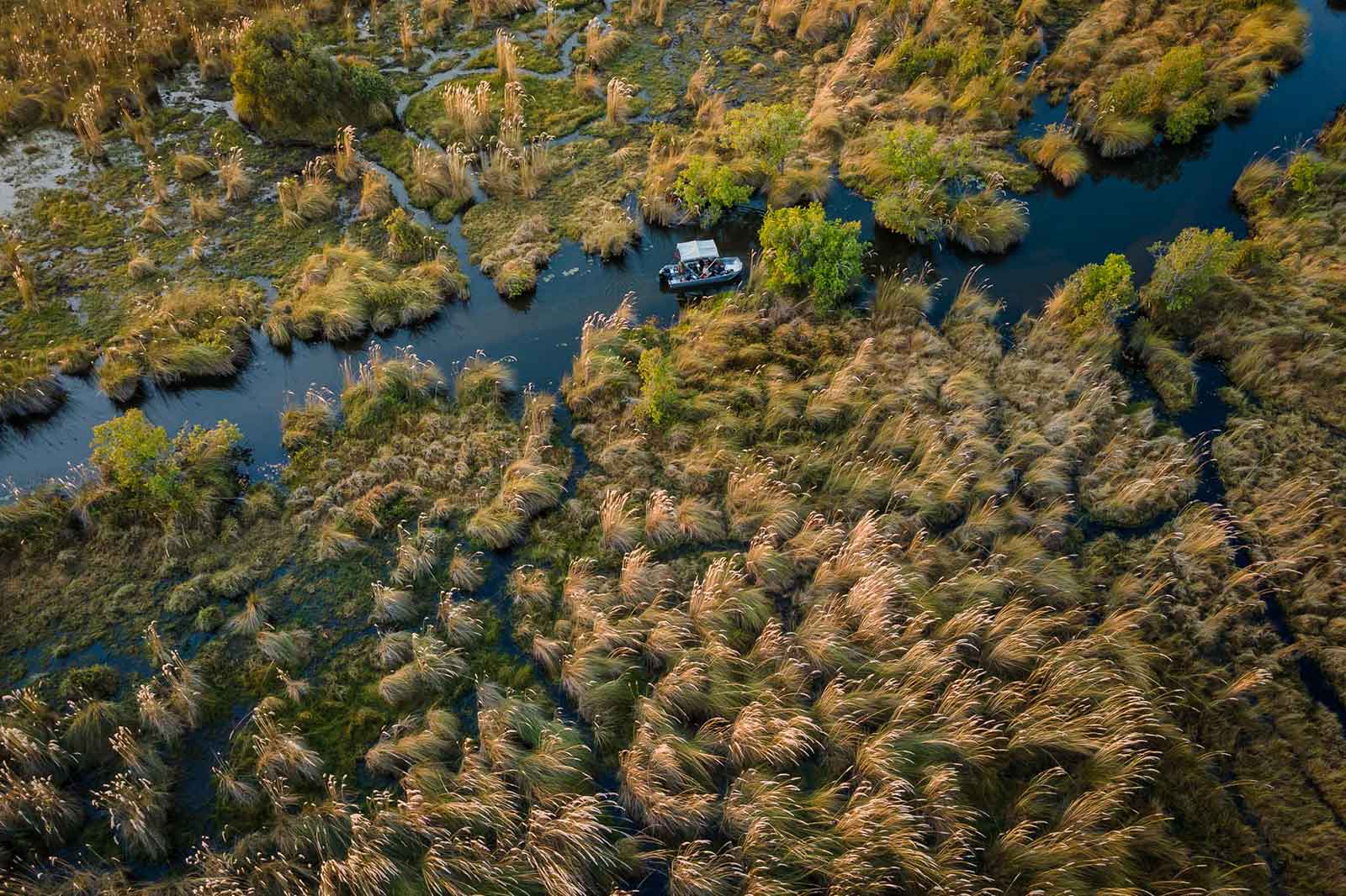 Okavango Delta Boating