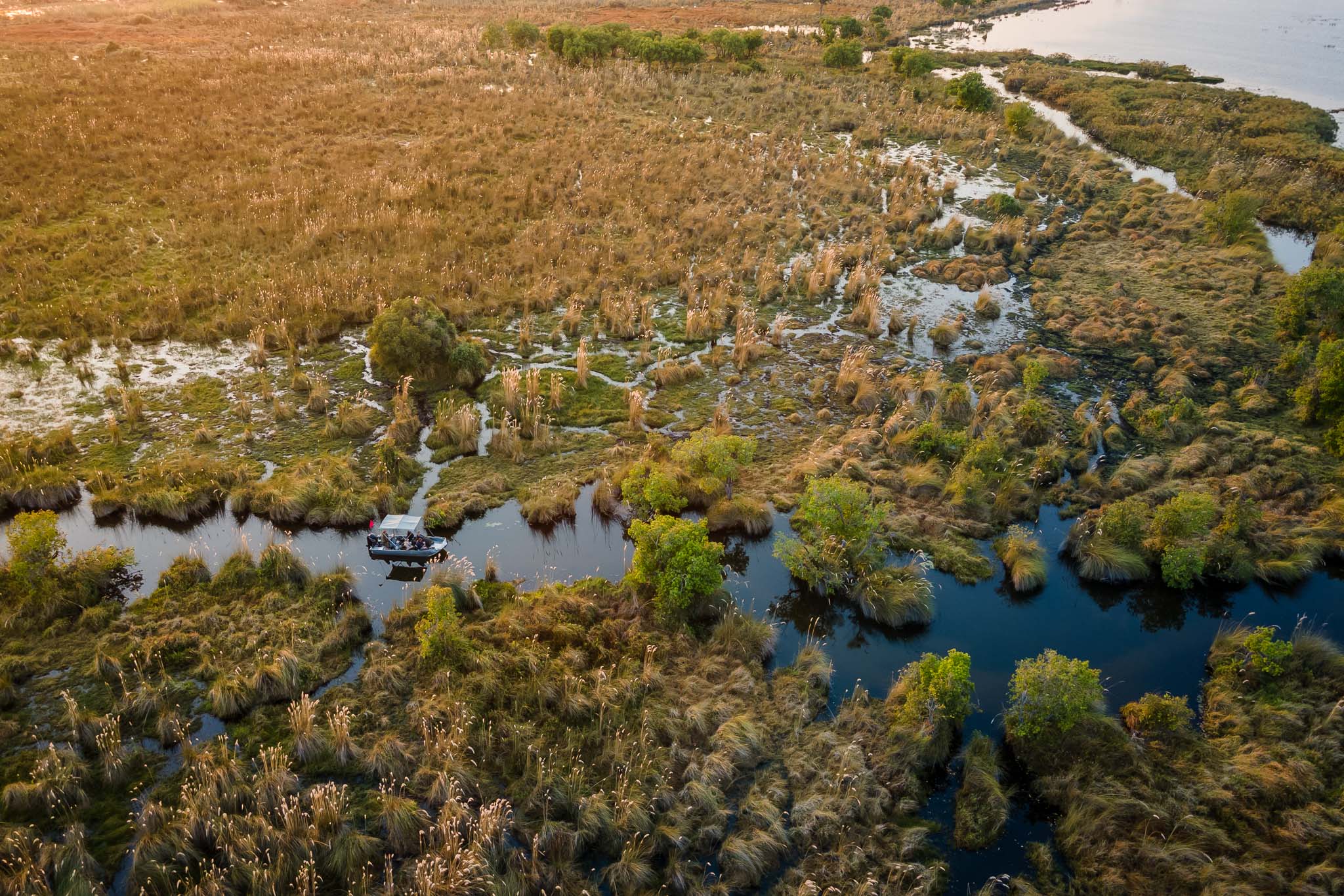 Mboma Island Okavango Delta