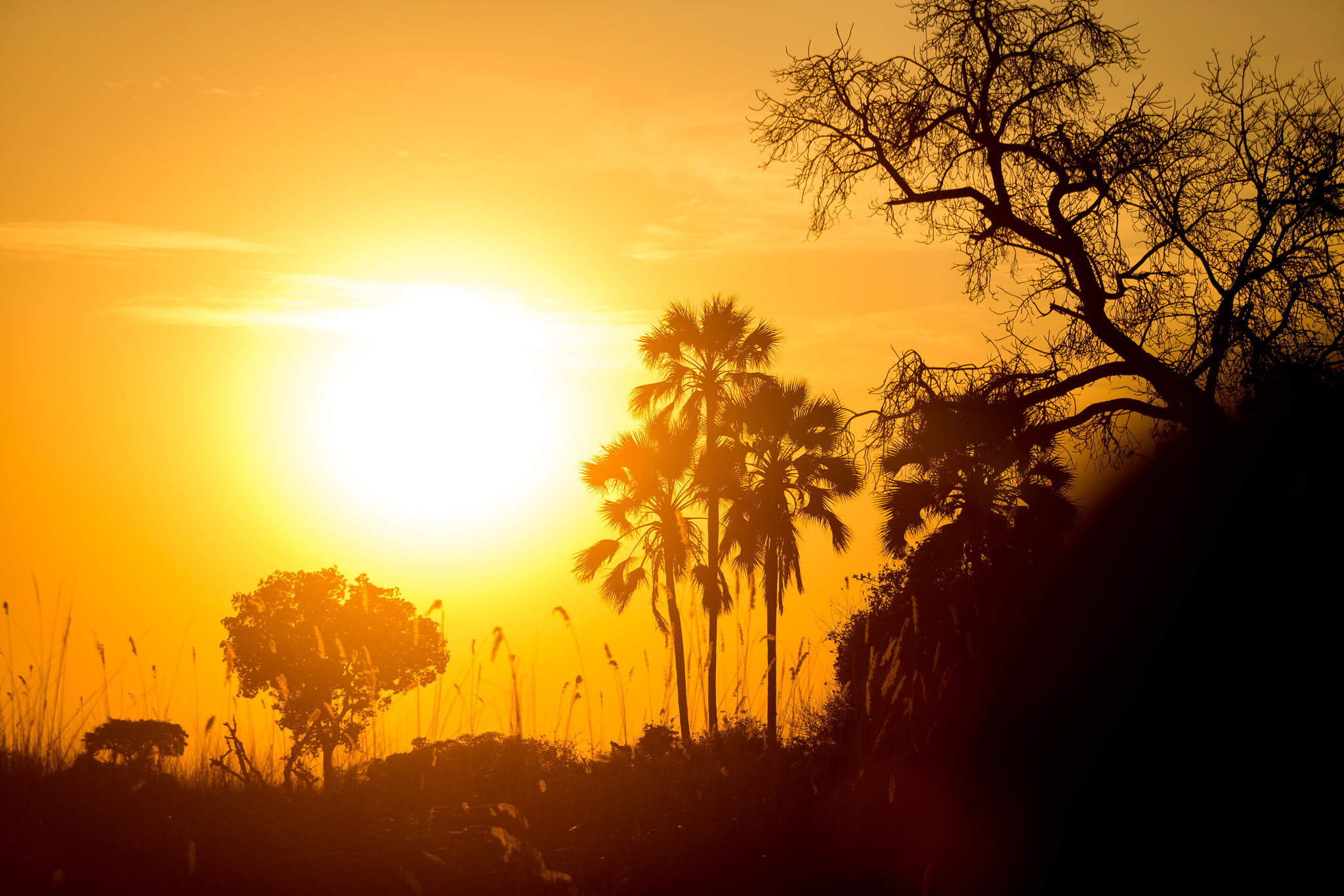 Sunsets in the Okavango Delta