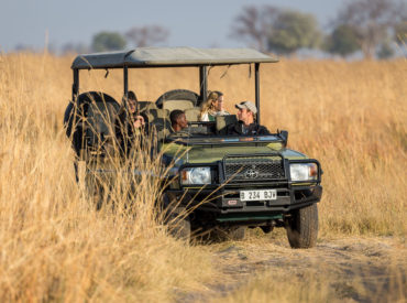 The mysterious landscapes and varied ecosystems of the Okavango Delta provide the perfect playground for a wealth of species to thrive. This intact wetland system is a World Heritage Site that forms part of the African Rift Valley System, and is an absolute mecca of rare beauty that seeks to inspire. Characterised by a mosaic […]