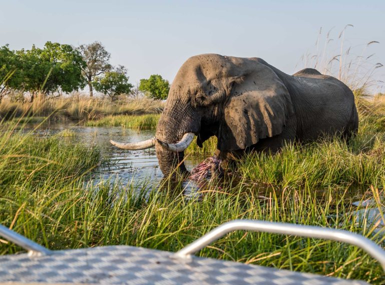 Our 2024 Botswana Itineraries