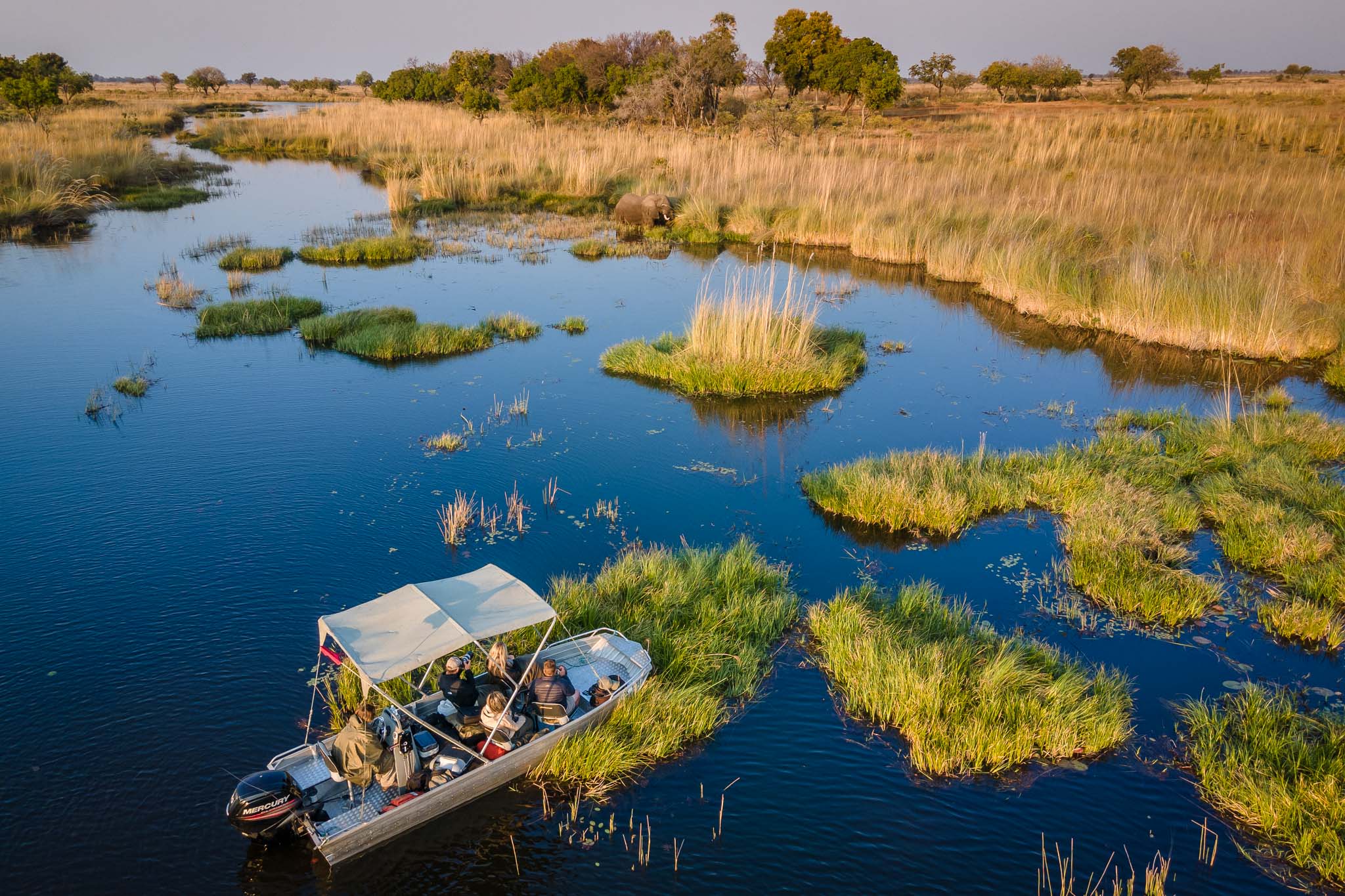 Boating on the Okavango Delta