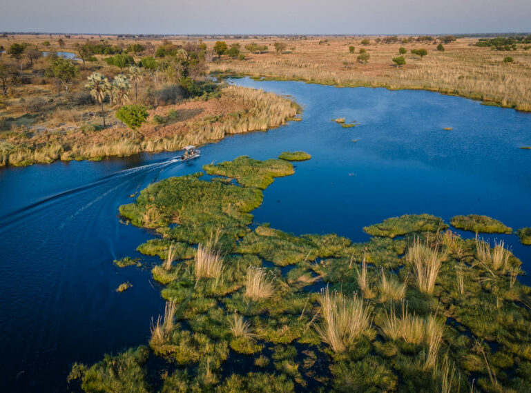 An Okavango Delta Safari