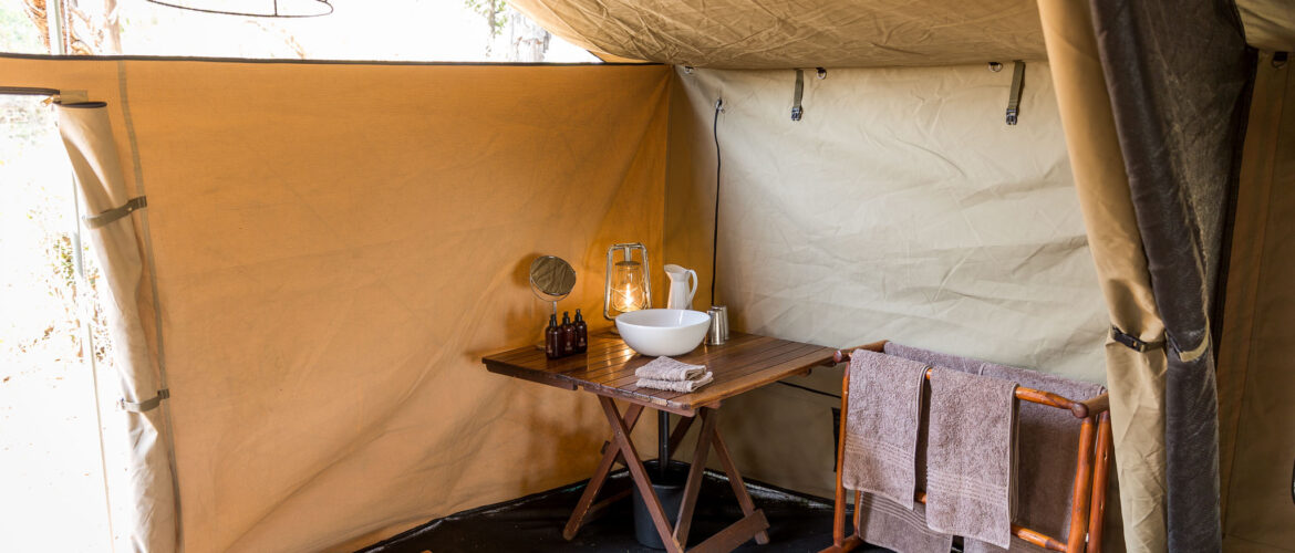 Mboma Island Expeditions: Champions of the Sustainable Safari