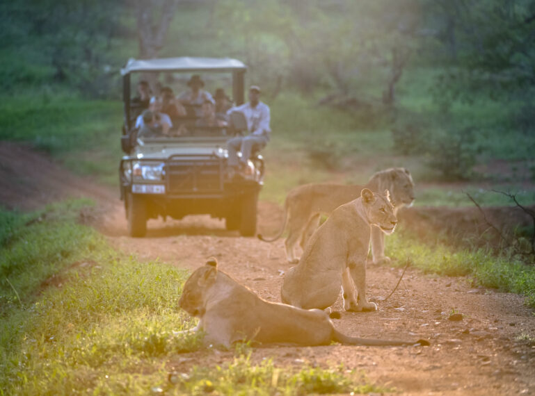 Chacma and Trails: Getting to Know the Maseke Game Reserve