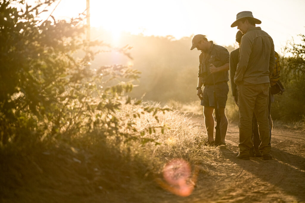 Walking safari