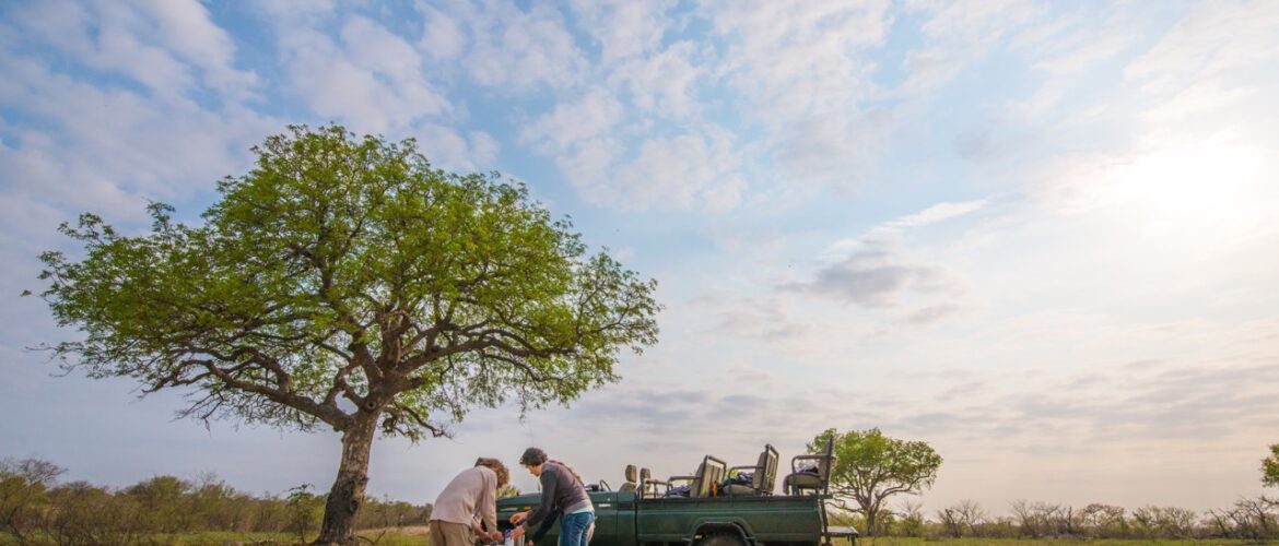 Safari Rituals: Dawn to Dusk Adventuring and Everything In Between