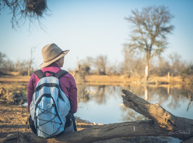 A Safari for All the Senses: Summer in the Wild