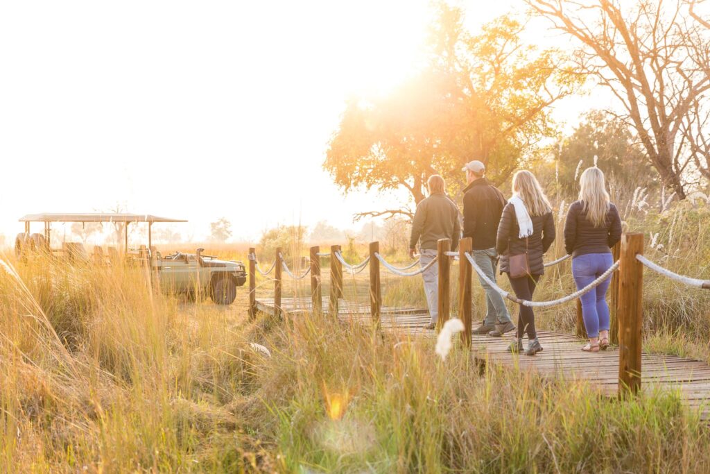 morning game drive