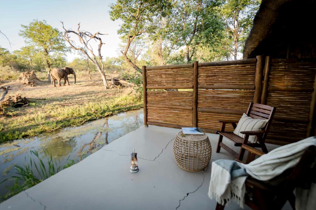 Chacma Bush Camp