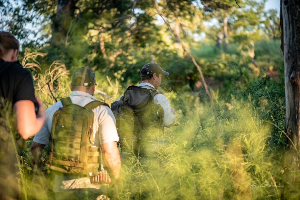 walking safari