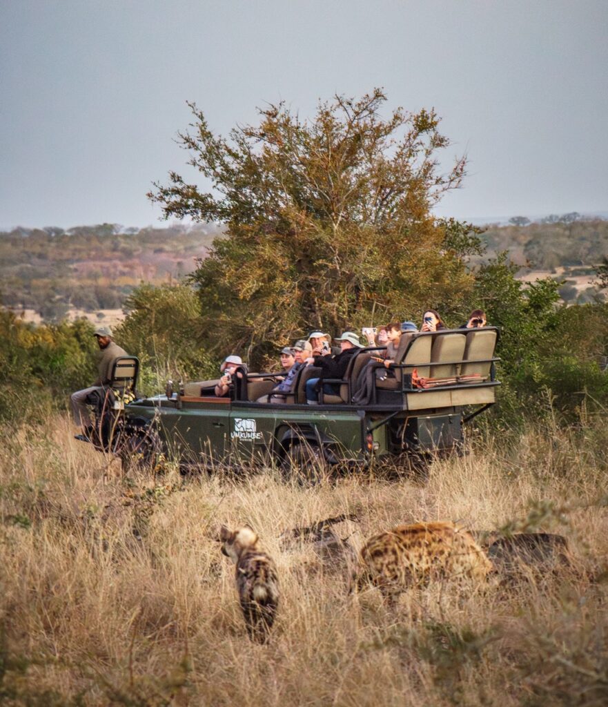 game vehicle and hyena