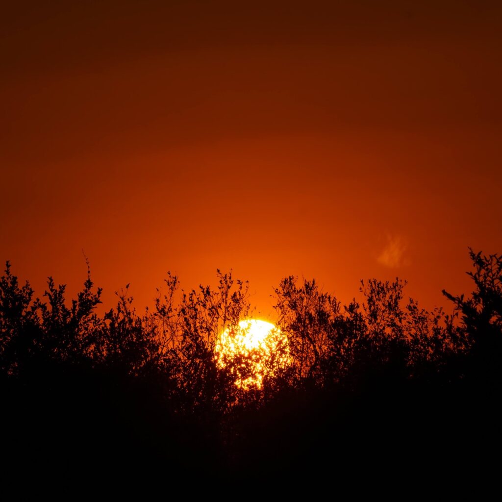 sunset