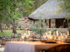 Did you get a new pair of trail shoes or hiking boots for Christmas? Then it’s time to kick start 2022 with a Kruger walking safari! Don’t let those pricey Puma’s or veldskoen gather dust as you did with last year’s gift. Your new kicks are best utilized on our 3-day Africa on Foot Wilderness […]