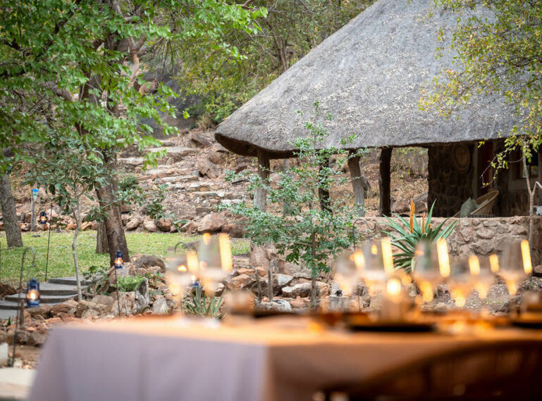Chacma Bush Camp Stylishly Reimagined: The Ultimate Boutique Safari Escape