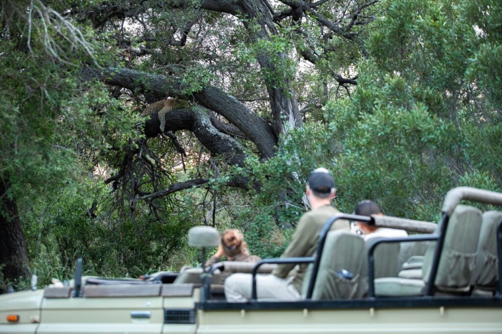 Africa on foot leopard sighting