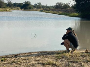 This month we are celebrating remarkable women in wildlife. Meet Lozanne, our passionate head guide and manager of Africa on Foot.  Nestled in the heart of the untamed Klaserie, Africa on Foot specialises in immersive walking safaris. A major drawcard not only for adventurous guests but also for guides like Lozanne who thrive on the rare […]