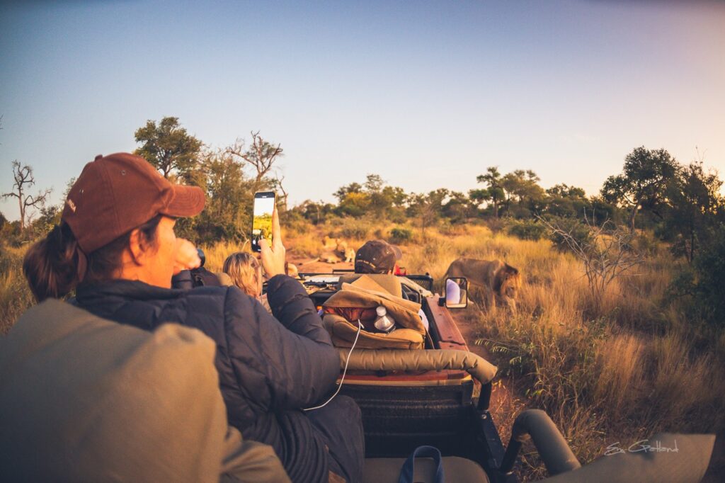 pictures on safari vehicle