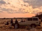 Unpacking the fascinating hunting styles of Africa’s predators reveals more than survival. It tells the raw, unfiltered truth about life in the wild. In the bush, especially in dry season, predator-prey action takes centre stage. What may appear to be chaos to come is, in fact, a complex dance of instinct and adaptation. Each predator […]