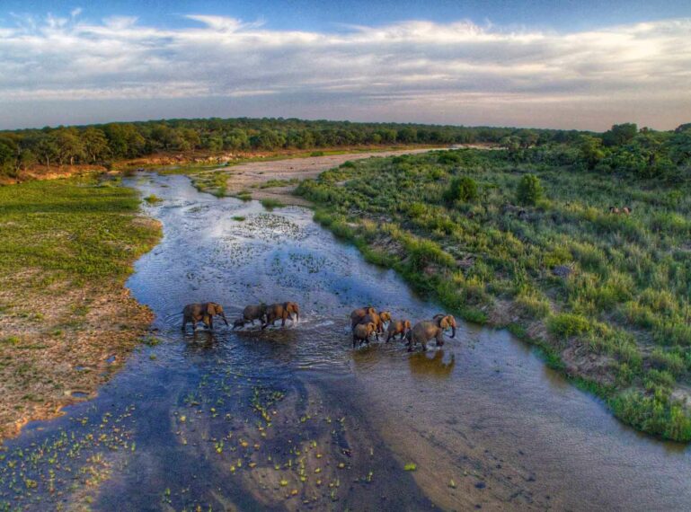 Exploring the Iconic Private Reserves of the Greater Kruger