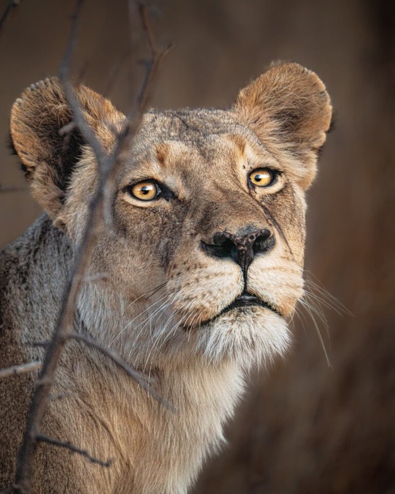 Lessons from the Wild: Our Guides’ Most Memorable Moments