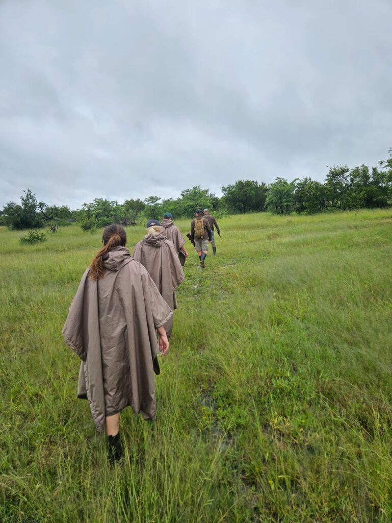 Kruger Green Season Update: Heavy Rains, Camp Operations and What to Expect