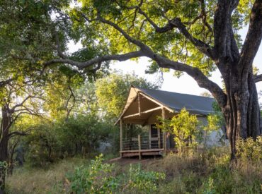 Nestled beneath a towering sycamore fig tree, Nkuwa Wilderness Camp offers a tranquil safari and wilderness escape. Nkuwa comes from the Tsonga word for the sycamore fig. Set within the Selati Game Reserve, bordering the Greater Kruger National Park, this is an unfenced wilderness where nature dictates the rhythm of the days. The reserve stretches across more [&hellip;]