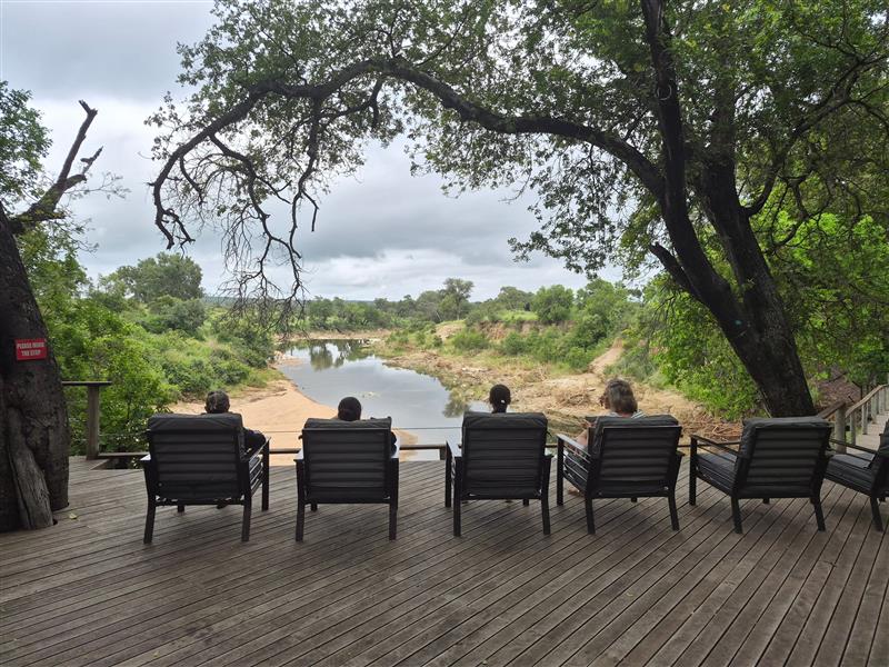 Nyala Camp - mega ed