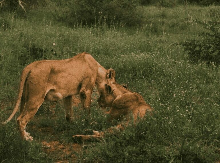 Through the Lens: Q&A with Travel Photographer Ferdinand Hennsler