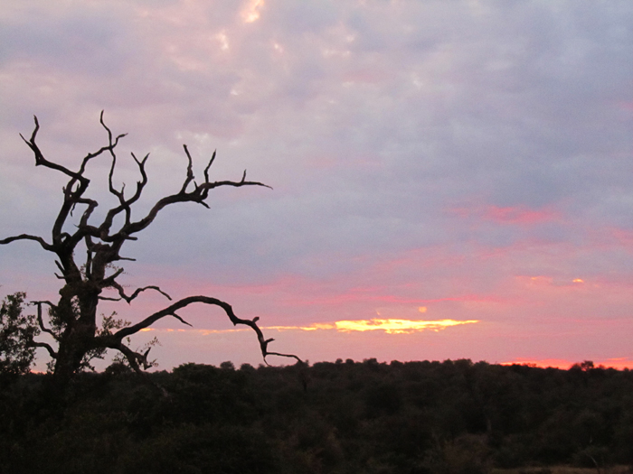 Sunset over the Klaserie