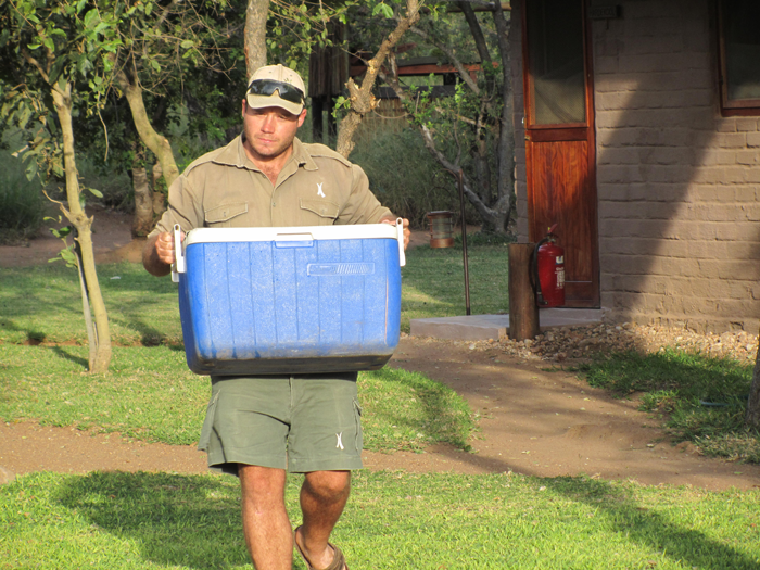 Ross Pride of Lions - Kevin, ranger at Africa on Foot