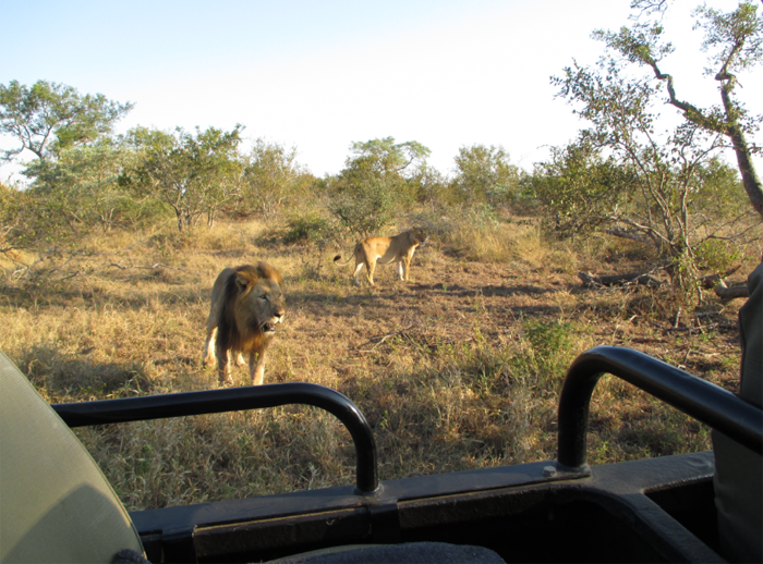 Trilogy charging the vehicle
