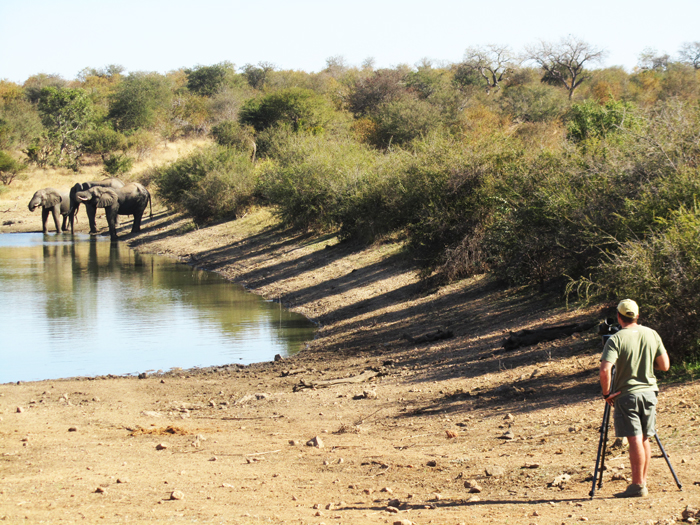 Kevin MacLaughlin filming the elephant herds